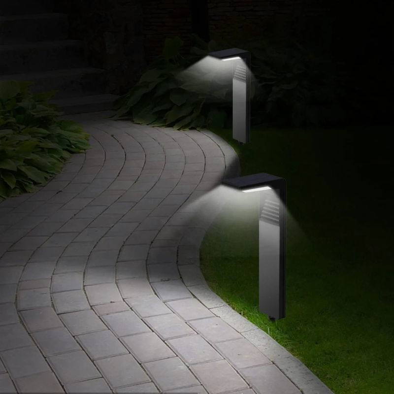 IP65 Lumina a energia solare impermeabile per illuminazione esterna e bella decorazione