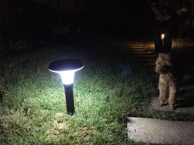 50000 ore di tempo di lavoro 180° angolo del raggio LED luce solare da giardino per illuminazione del paesaggio