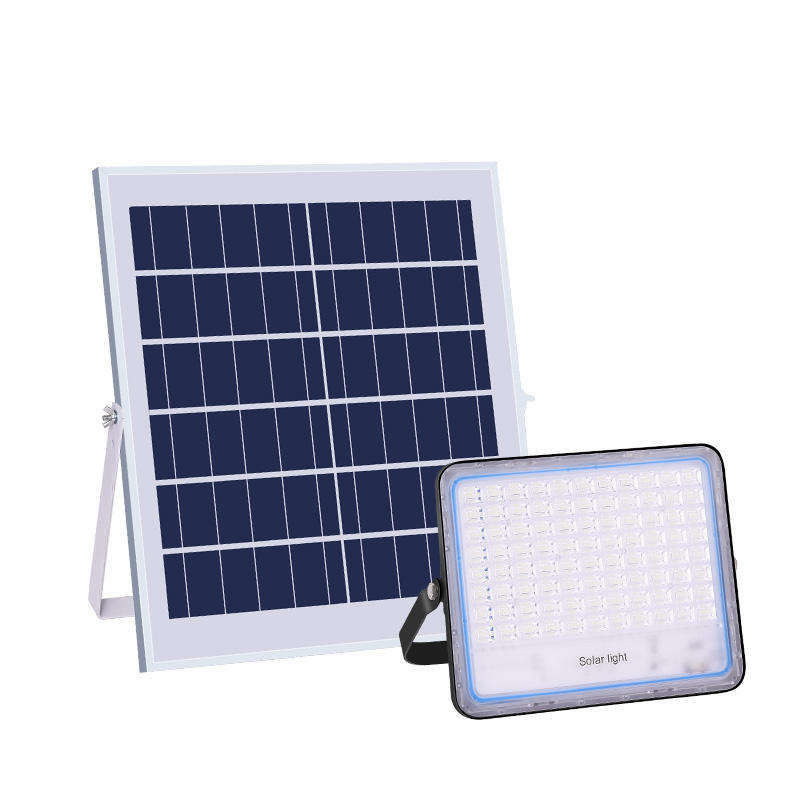 2- 100w luce solare a LED 12V 3000mA Ip65