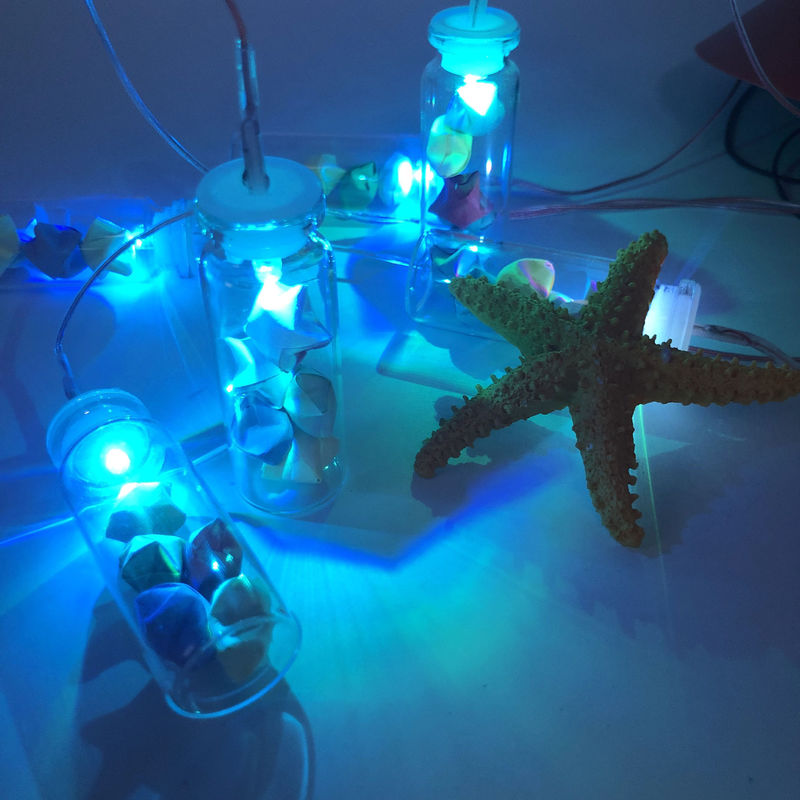 Lampada multi-colore Smart LED per il giardino all'aperto 50000 ore