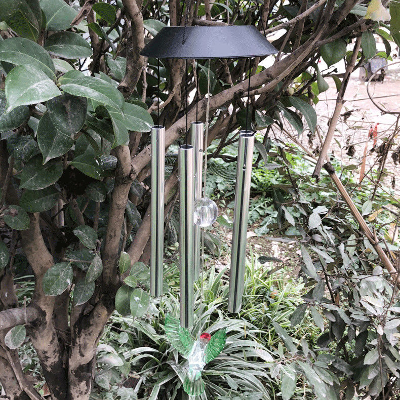 Portate bellezza e luce al vostro giardino con la luce solare a LED che cambia colore