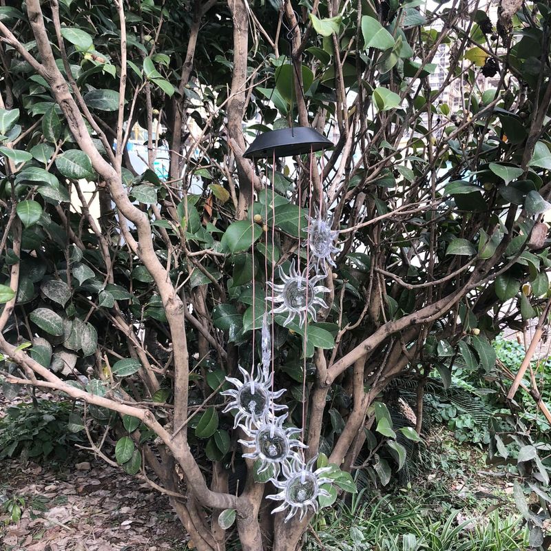 Lampada esterna a cambio colore a LED a vento solare per giardino